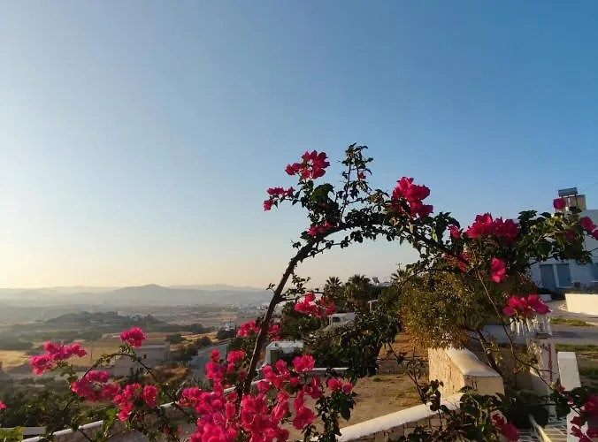 Agnanti Lägenhetshotell 2*